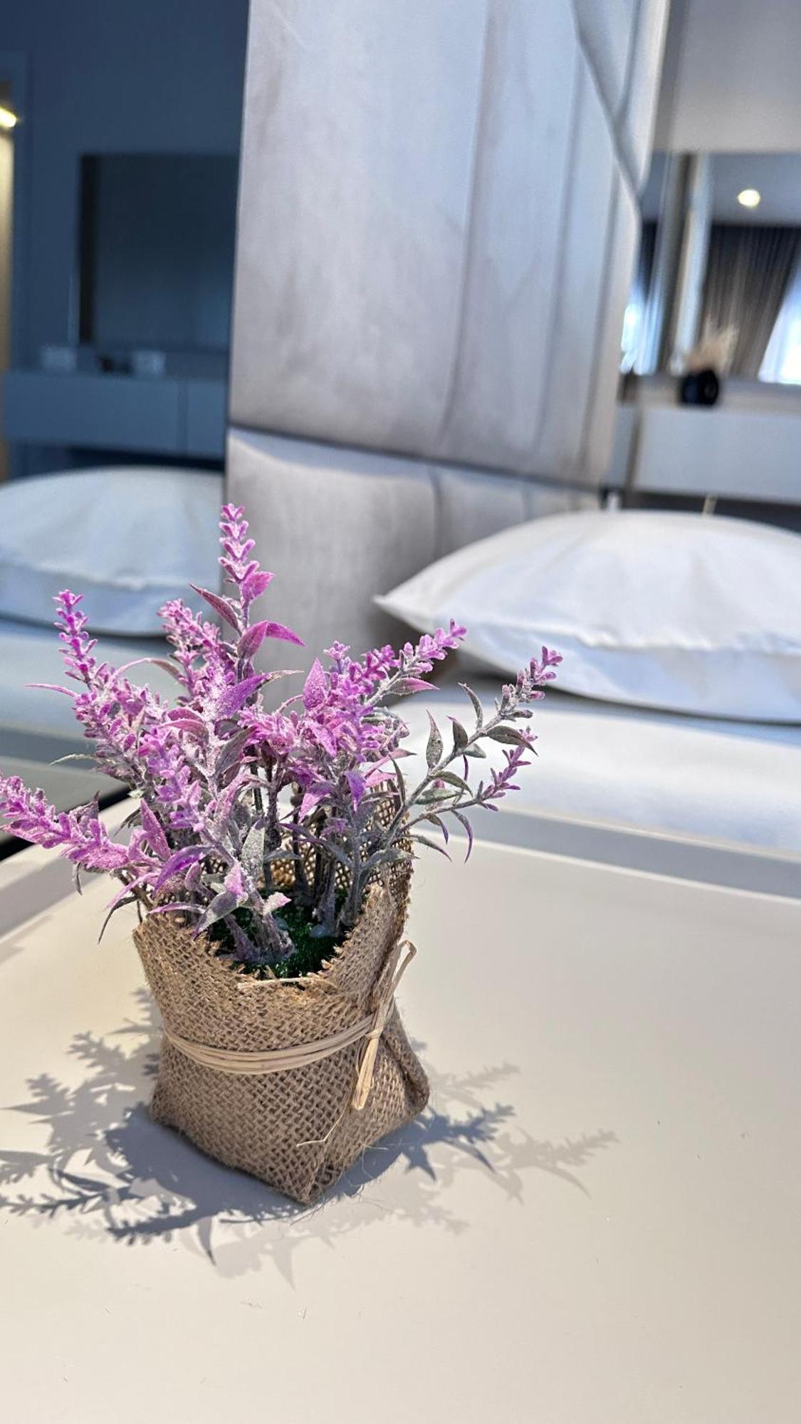 Frida Luxury Apartment ティラナ エクステリア 写真